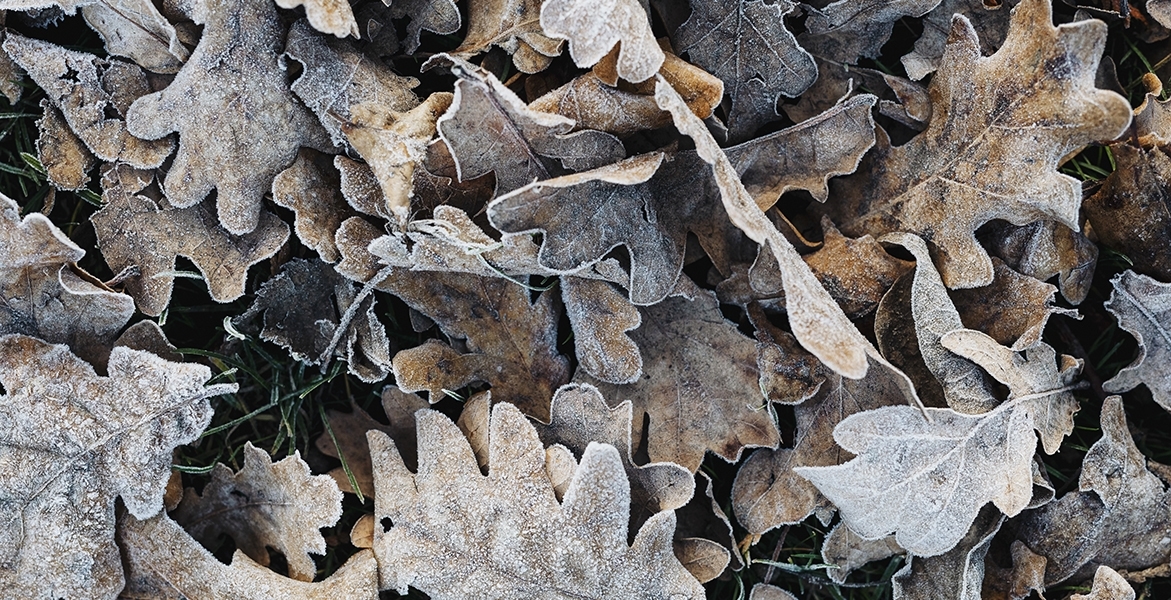 boost skin moisture winter