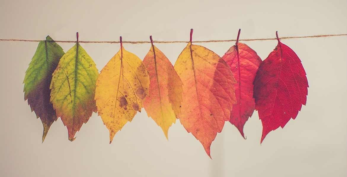 How seasonal changes affect your skin