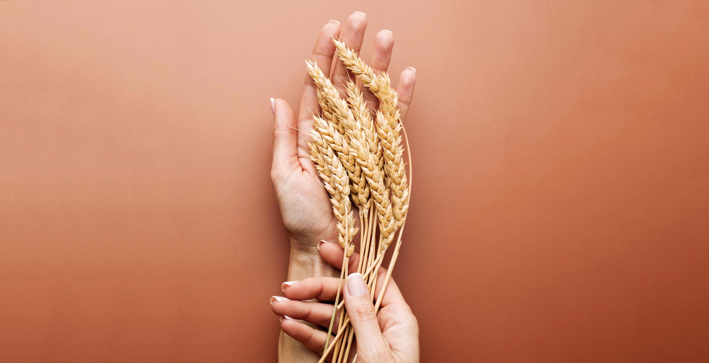 upcycling in skincare with spent grain wax