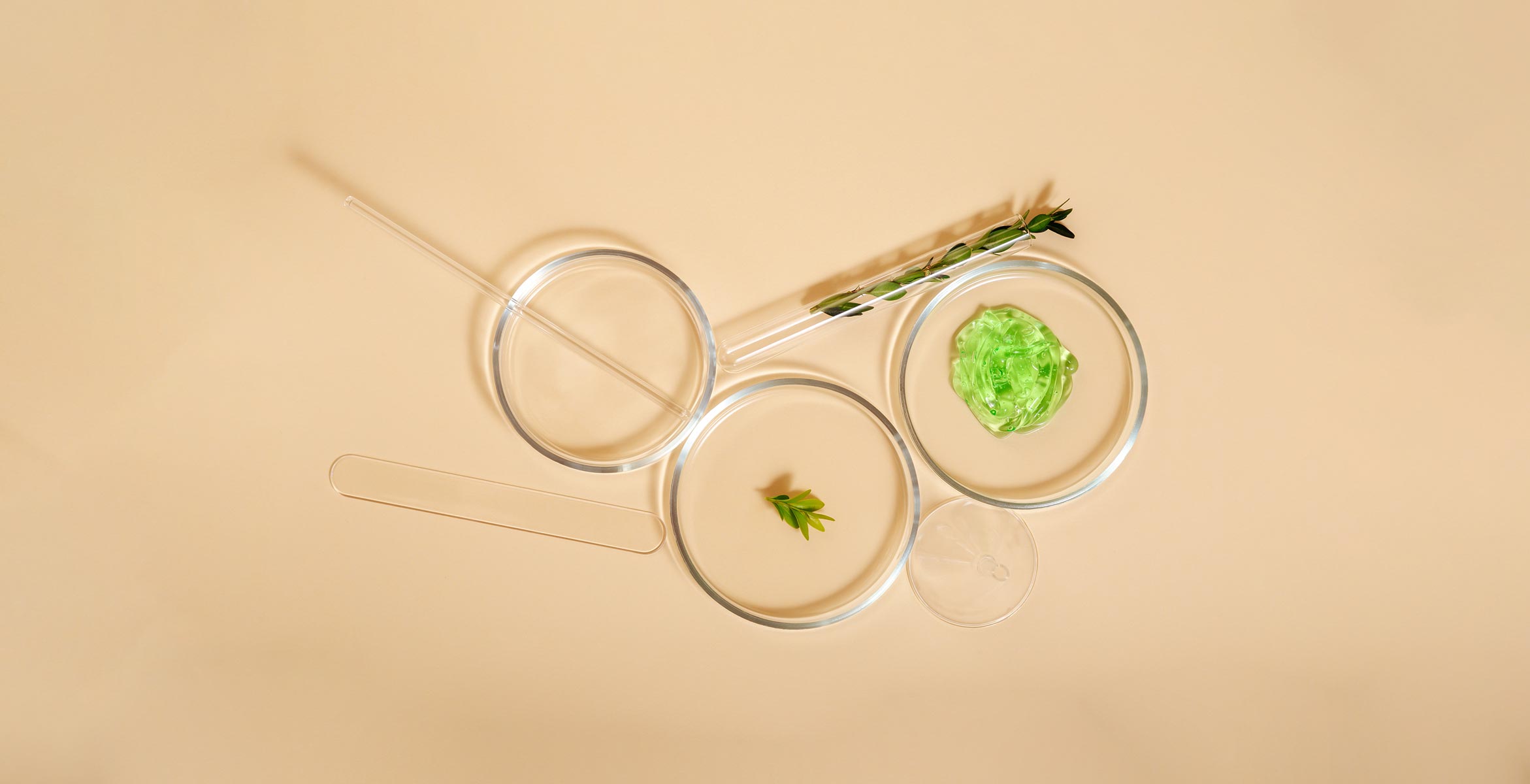 Phytochemistry Twelve Beauty