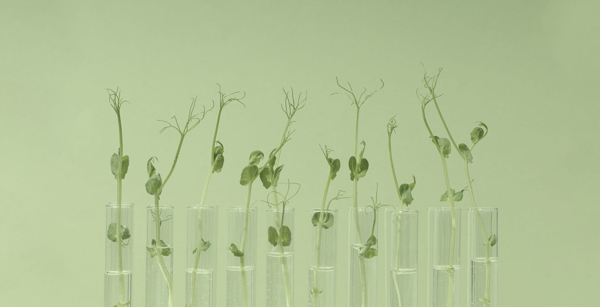 biotech skincare ingredients