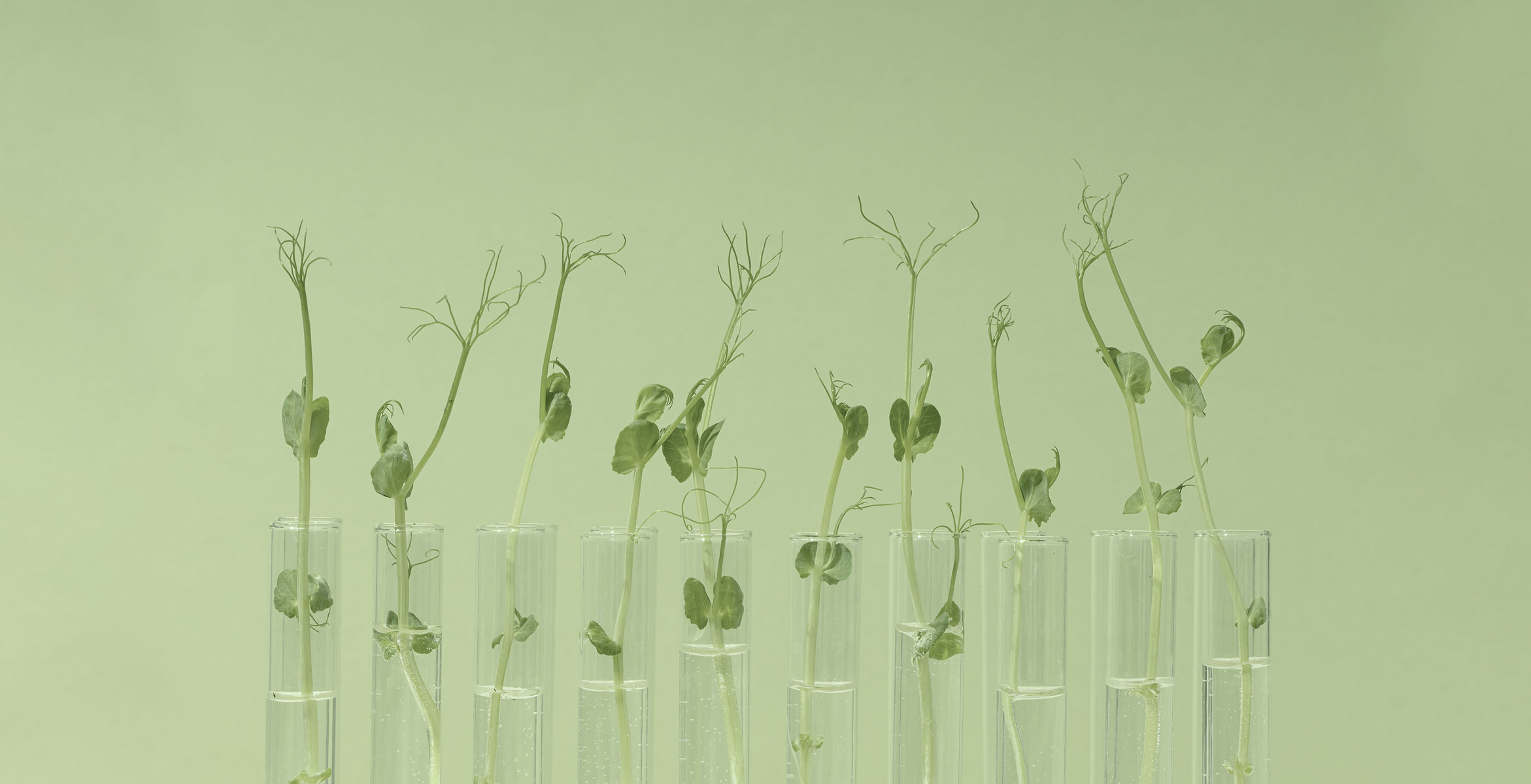 biotech skincare ingredients