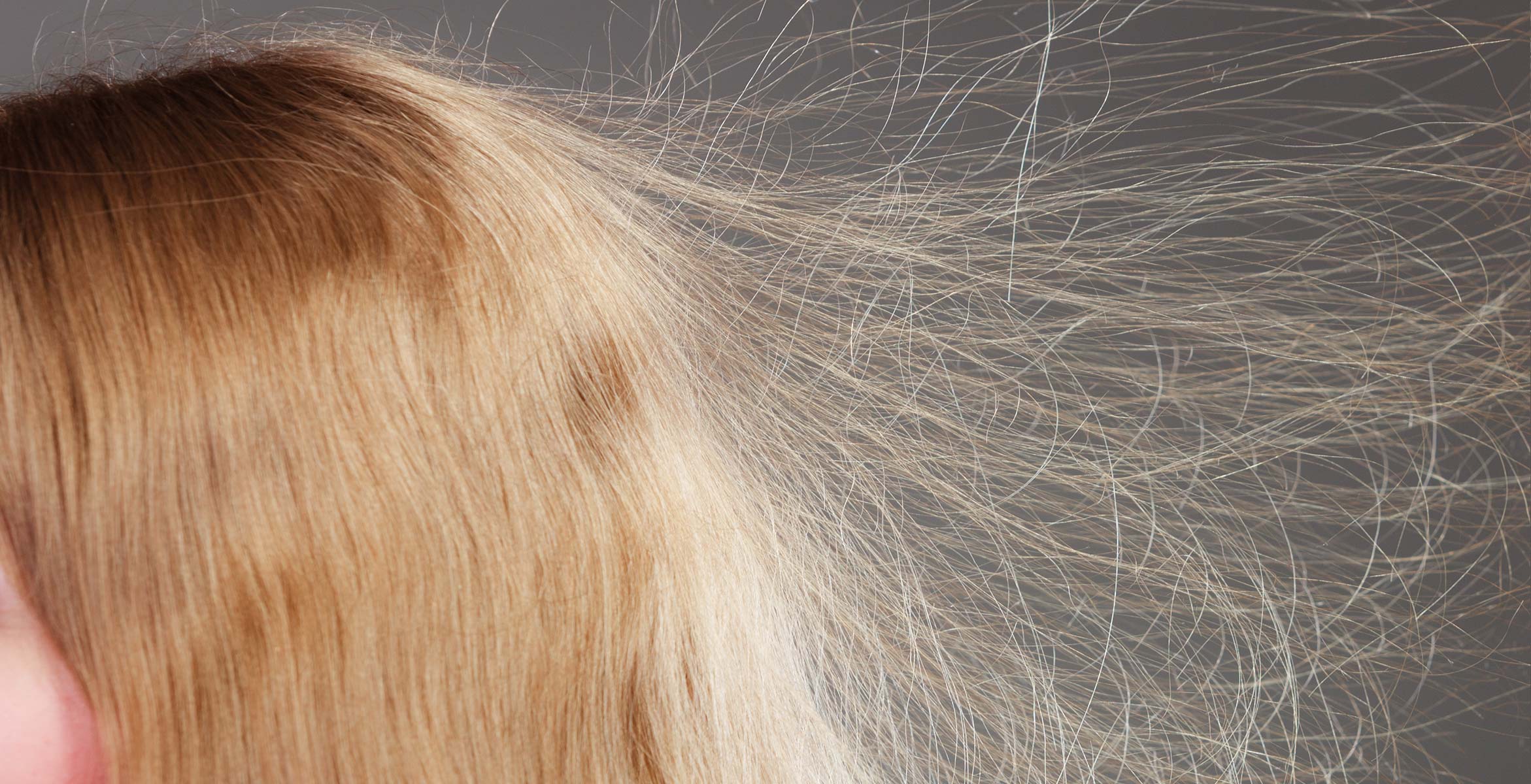 frizzy hair treatment twelve beauty