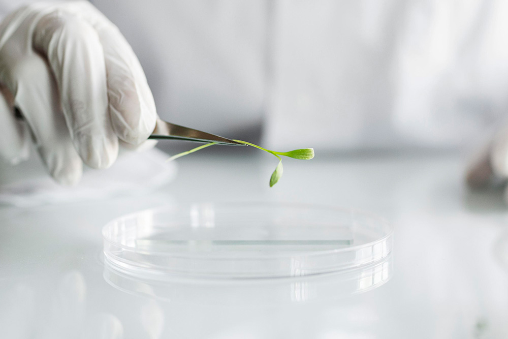 Beauty Trends for 2025 Biotechnology