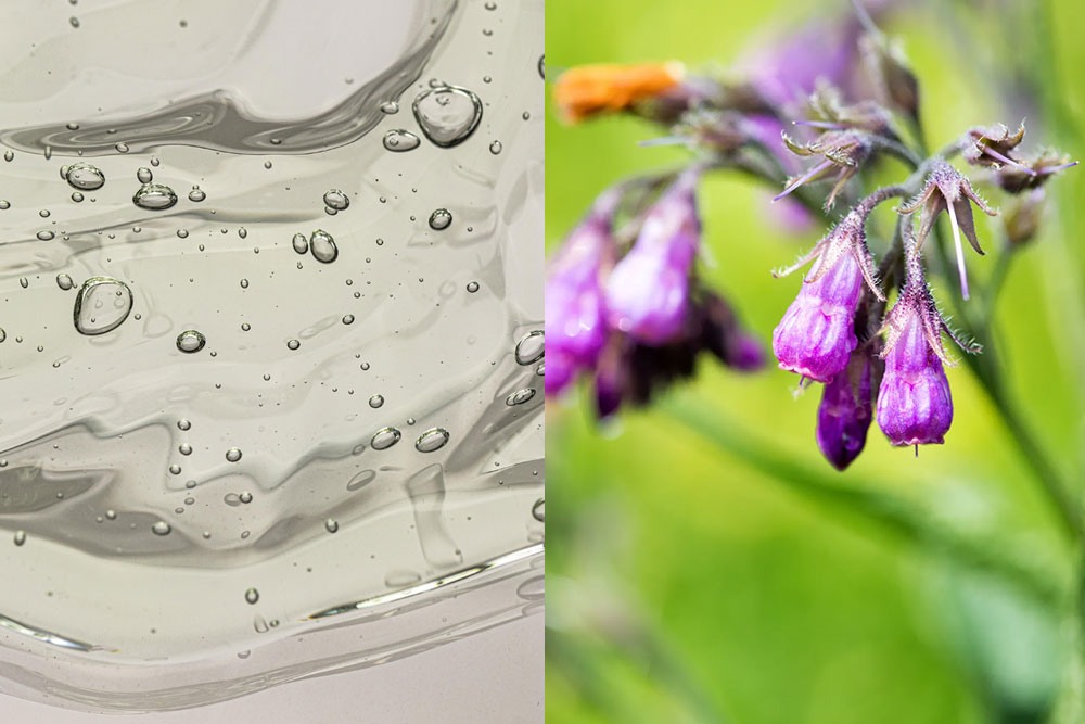 ectoin vs allantoin