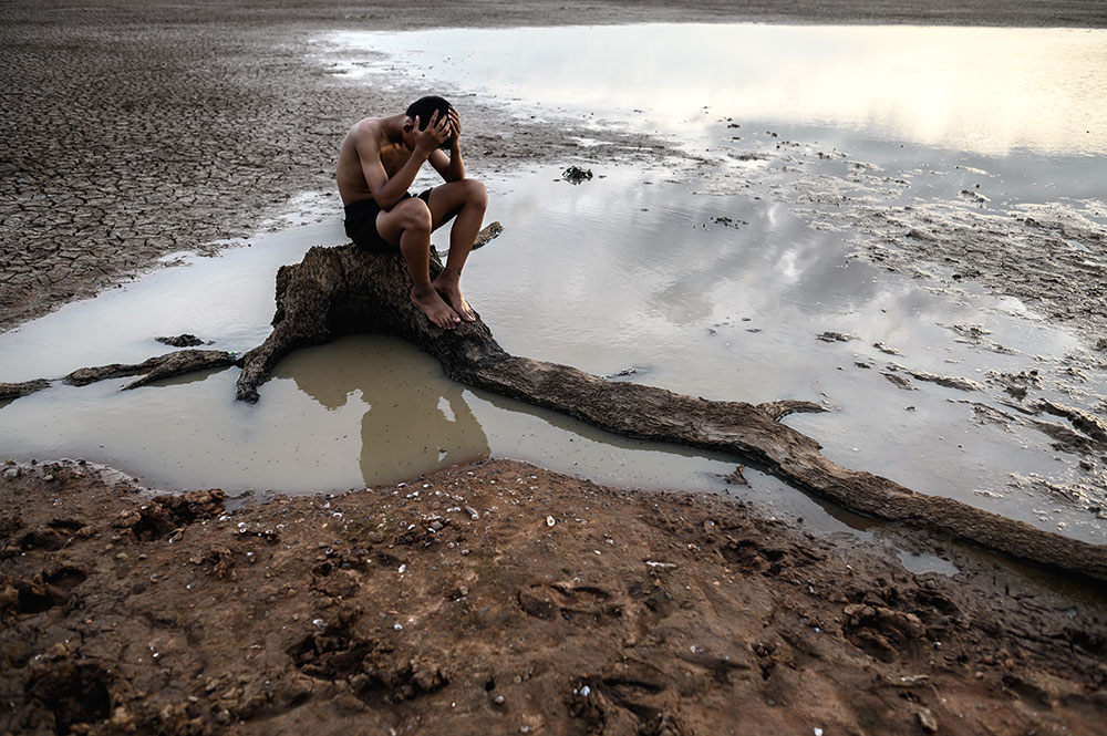 deforestation caused by palm oil production