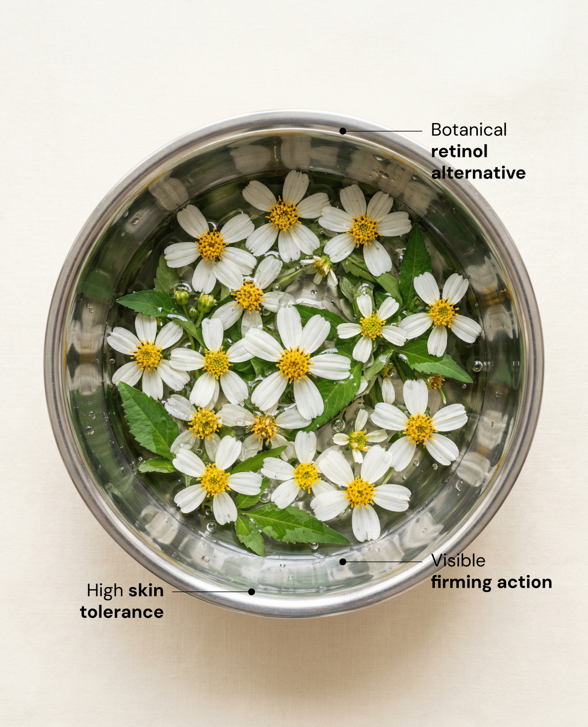 Texture of Plant Perfection Gel Serum by Twelve Beauty